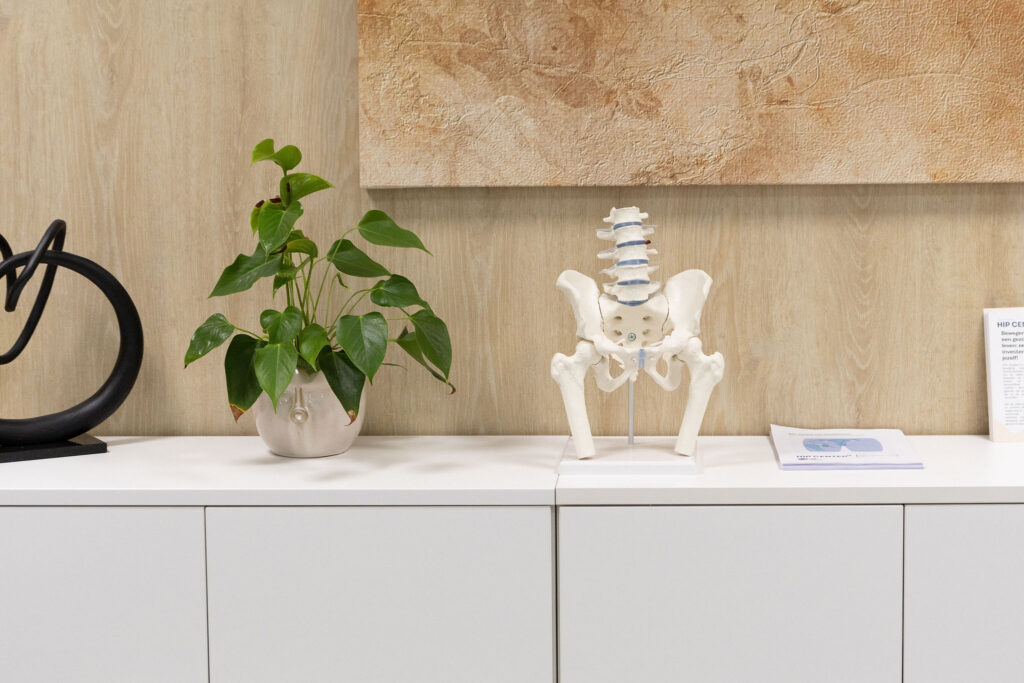 Heuppraktijk Westerlo