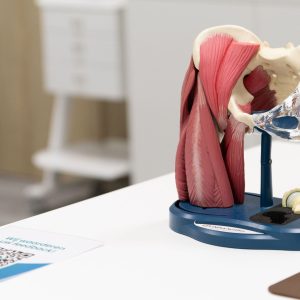 European Hip Center